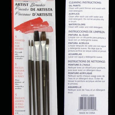 Artist Brushes Set of 5