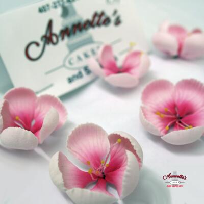 Small Gumpaste Flowers - Pink Periwinkle