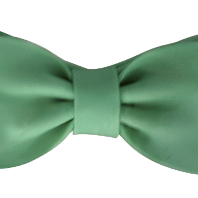 Gumpaste Bows- Large Solid Green