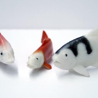 Karp Fish Cupcake Toppers