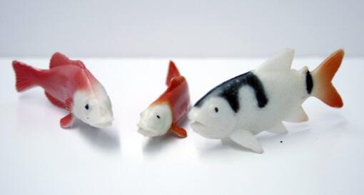 Karp Fish Cupcake Toppers