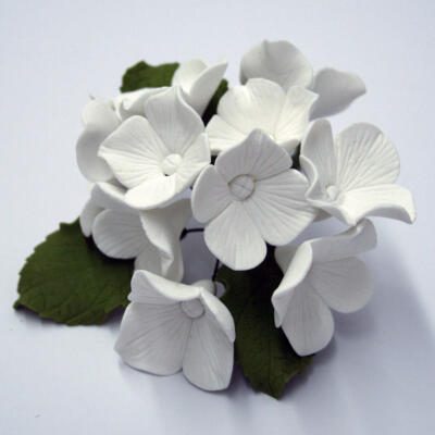 Hydrangea Flower- White