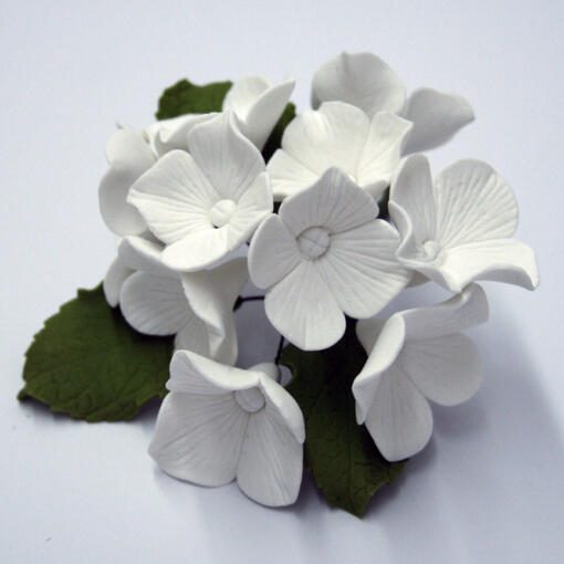 Hydrangea Flower- White