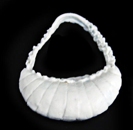 Half Moon Purse Silicone Mold - Image 2