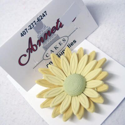 Flower- Gerber Daisy