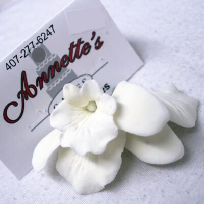 Single Flower- White Orchid