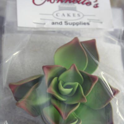 Succulent Gumpaste Flowers- Large Green
