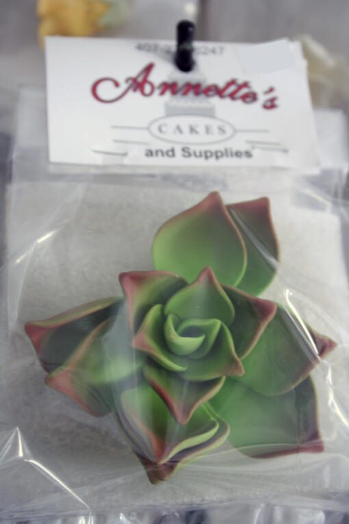Succulent Gumpaste Flowers- Large Green
