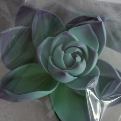 Succulent Gumpaste Flowers-Large Blue