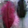 Ostrich Feather- Red - Image 2