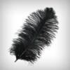 Ostrich Feather- Red - Image 3