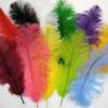 Ostrich Feather- Red
