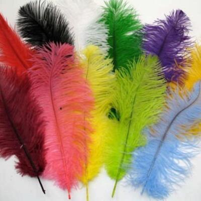 Ostrich Feather- Purple