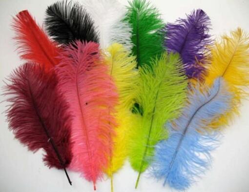 Ostrich Feather- Red