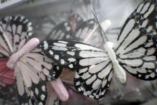 Medium Monarch Butterfly Cake Toppers