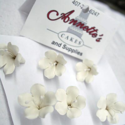 Small Gumpaste Flowers - White Stephanotis