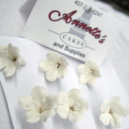 Small Gumpaste Flowers - White Stephanotis