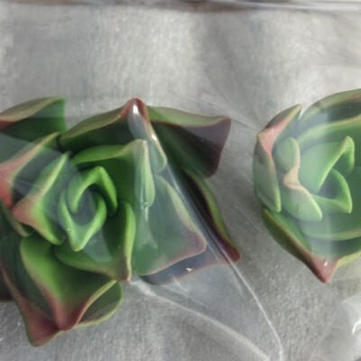 Succulent Gumpaste Flowers- Medium & Small Green