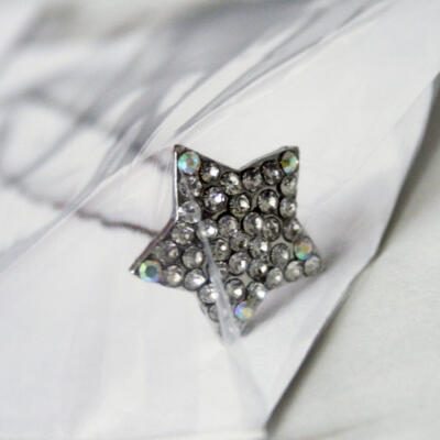 Cake/Hair Pin- Star