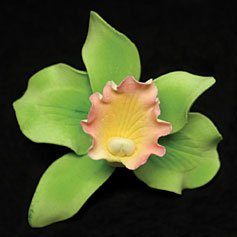 Cattleya Flower