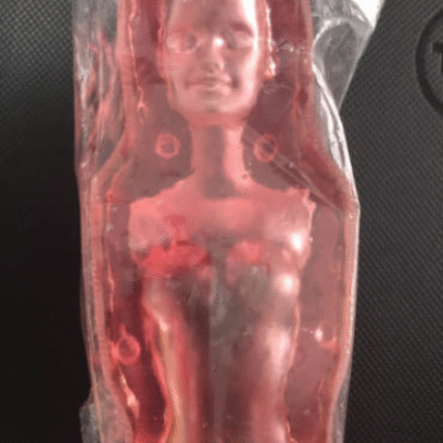 Female Torso Resin Mold